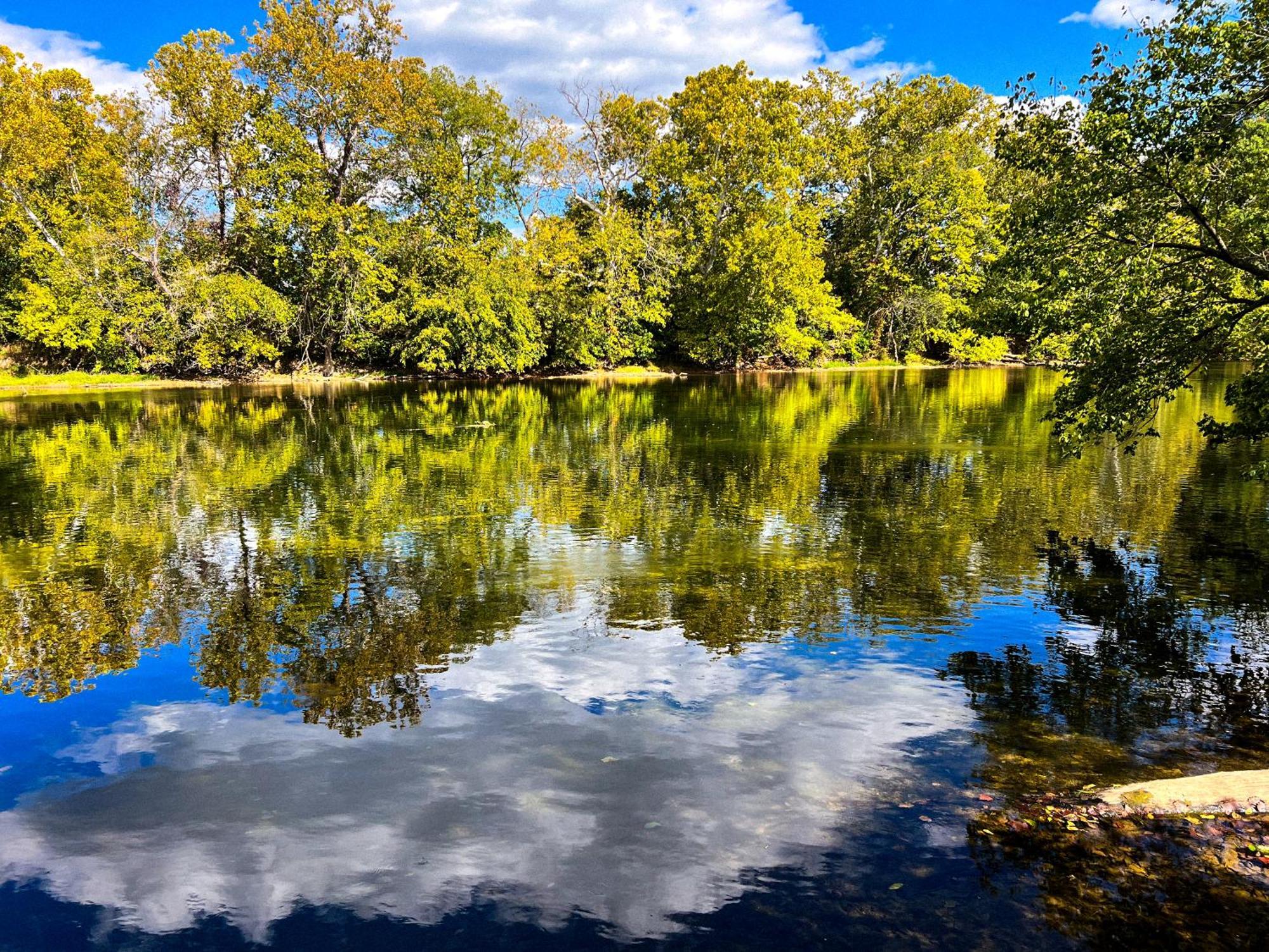 Luray Rv Resort On Shenandoah River Zewnętrze zdjęcie